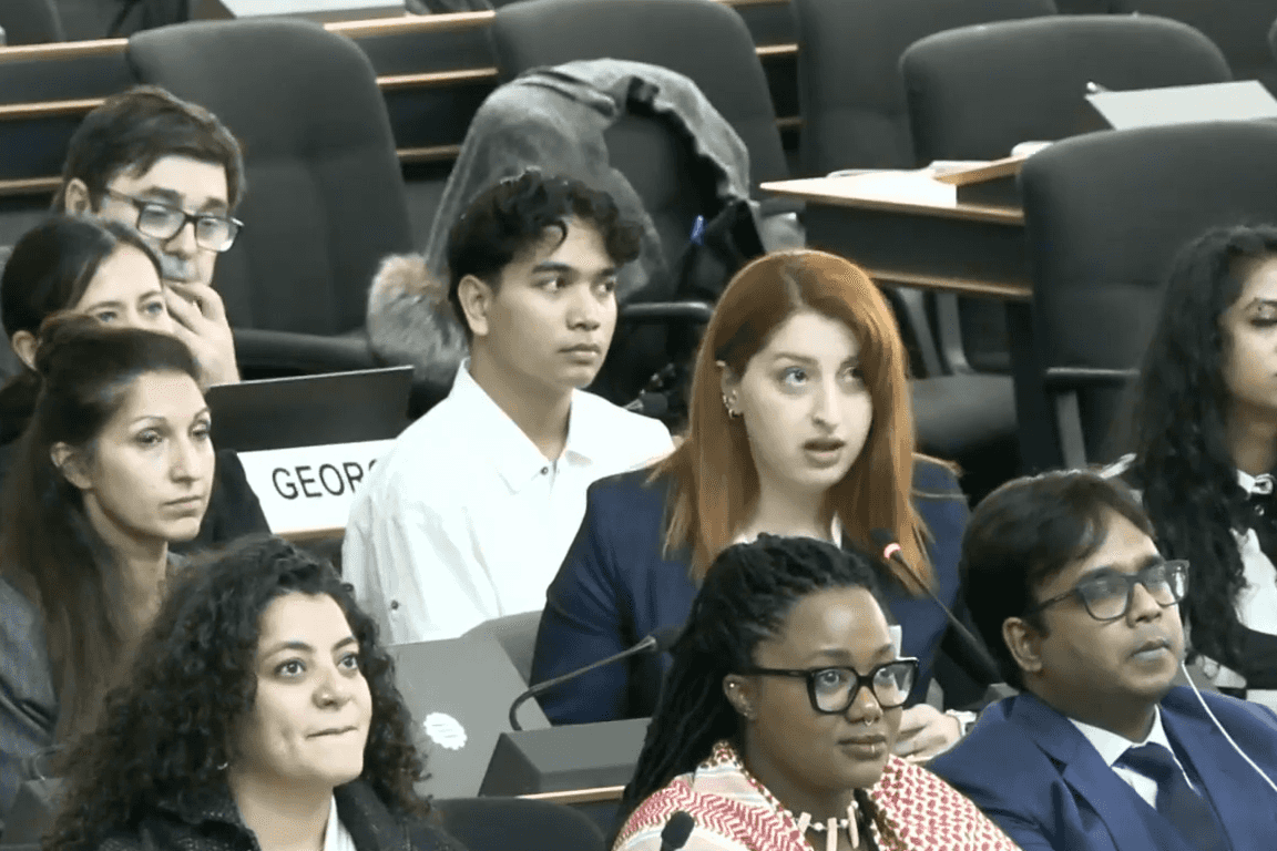 <strong>Elçin Adzinba delivering her remarks at the UN Forum on Minority Issues in Geneva. Screengrab via UN stream.</strong>